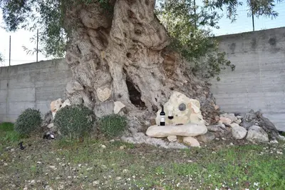 Giardino di I Secolari di Giulia 2