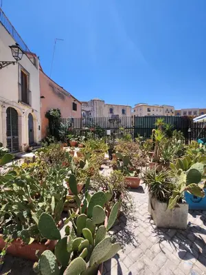 Giardino di Appartamento Ortigia Vicolo Lettighieri 22