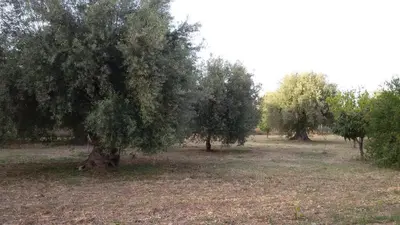 Paesaggio naturale nelle vicinanze dell'appartamento